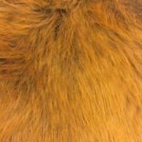 Мех искусственный для головных уборов (Беларусь)  в Саратове